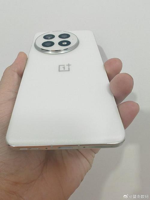 一加13觸控產(chǎn)品深度解析 性能旗艦的指尖革命